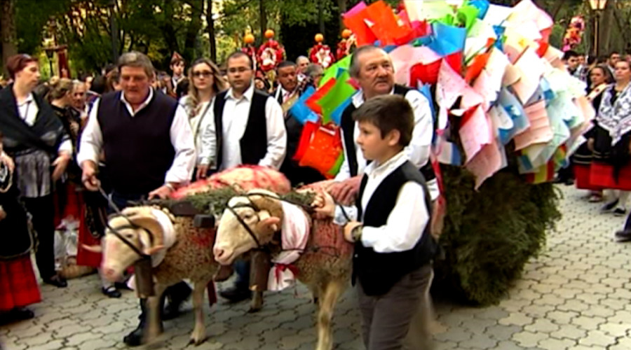 "Lux Mondas" plato fuerte en Talavera de la Reina